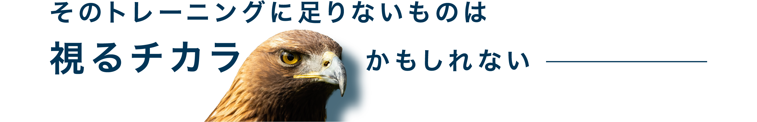 そのトレーニングに足りないものは視るチカラかもしれない